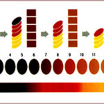 美容師、プロとして提供する技術②