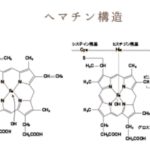 ヘマチン。