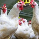 求め過ぎた代償。