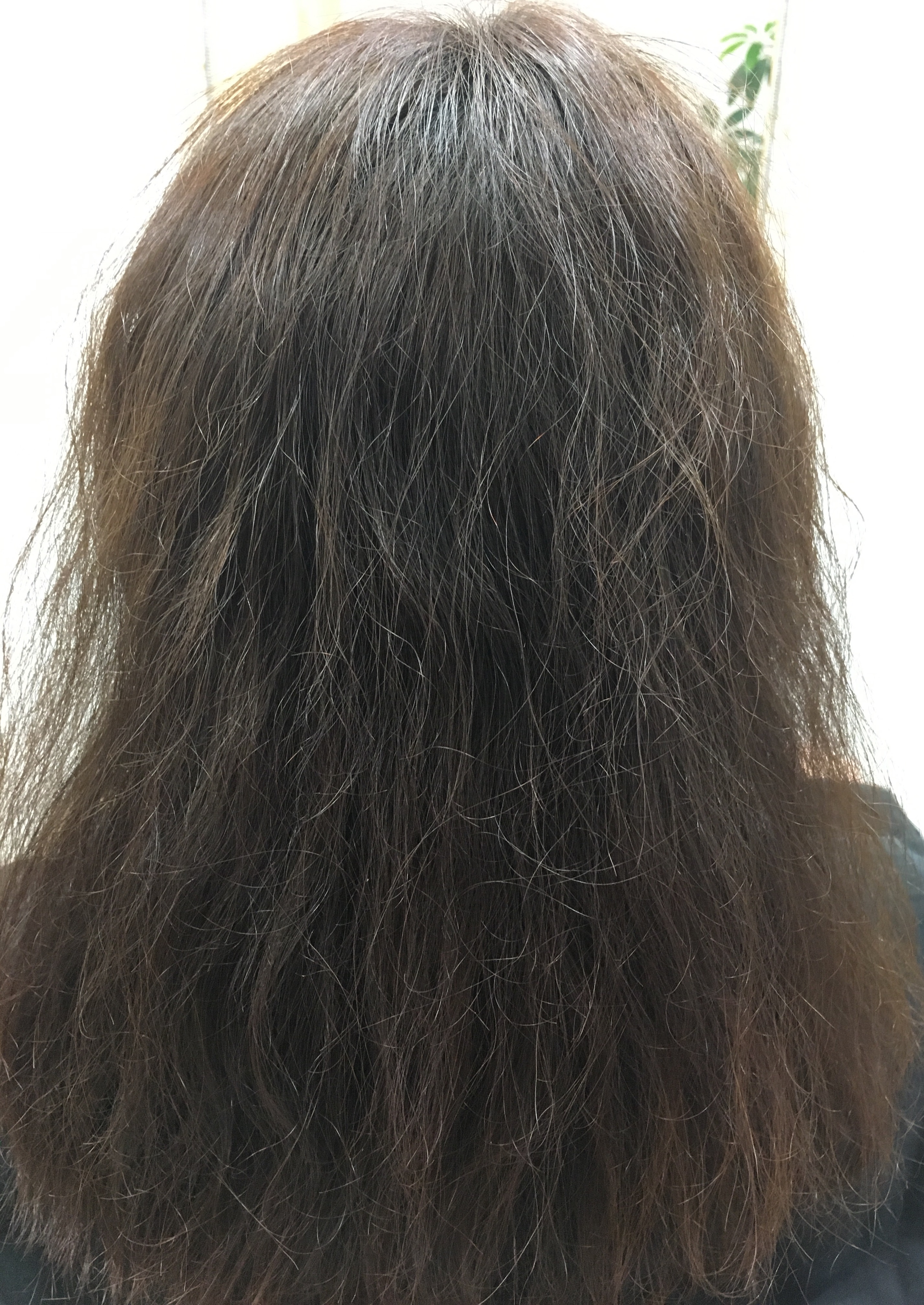 生かせないクセ毛・クセを生かした矯正。