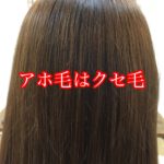 アホ毛はクセ毛です。