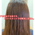 アホ毛はクセ毛。